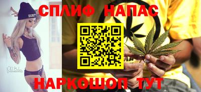прущие крисы Гудермес