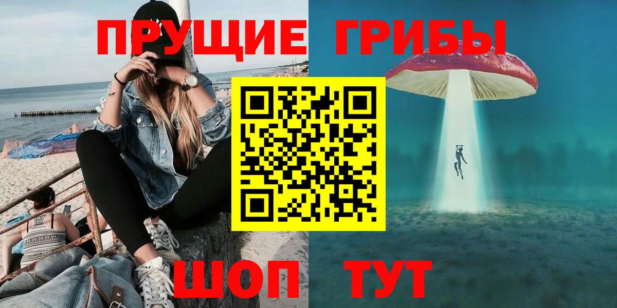 Горно-Алтайск  Галлюциногенные грибы прущие грибы  Вход с VPN 